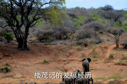 樂購(gòu)中國(guó)總經(jīng)理是誰