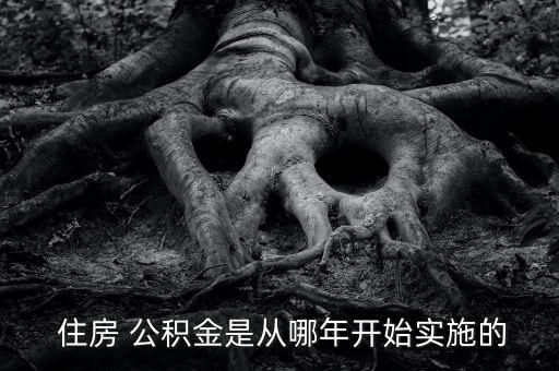  住房 公積金是從哪年開(kāi)始實(shí)施的