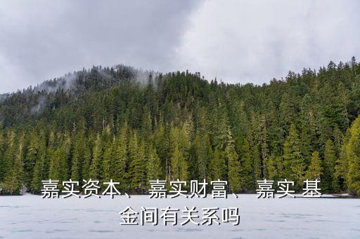  嘉實資本、 嘉實財富、 嘉實 基金間有關(guān)系嗎