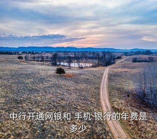 手機(jī)銀行收年費(fèi)嗎,銀行手機(jī)銀行,請問有什么可以