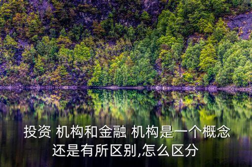  投資 機(jī)構(gòu)和金融 機(jī)構(gòu)是一個(gè)概念還是有所區(qū)別,怎么區(qū)分