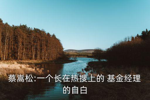蔡嵩松:一個長在熱搜上的 基金經理的自白
