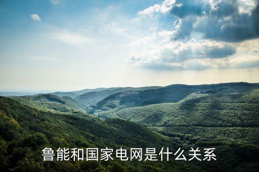 魯能和國(guó)家電網(wǎng)是什么關(guān)系