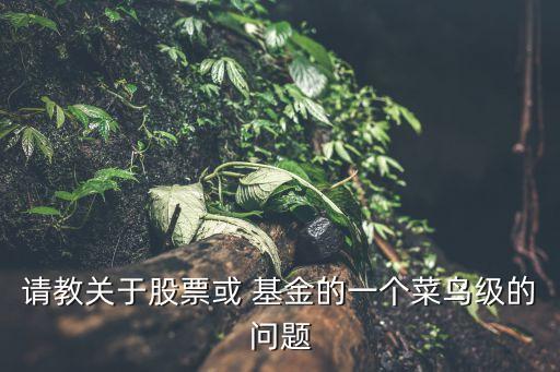 請教關(guān)于股票或 基金的一個(gè)菜鳥級(jí)的問題