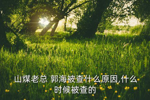  山煤老總 郭海被查什么原因,什么時(shí)候被查的