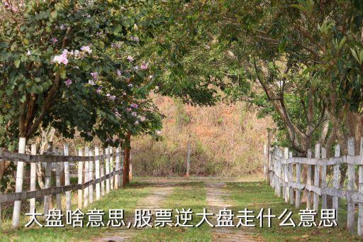 股票大盤(pán)啥意思,股票逆大盤(pán)走什么意思?