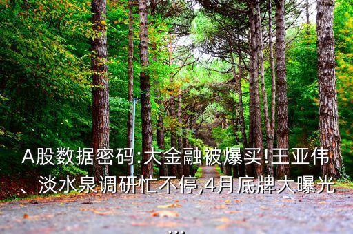 A股數(shù)據(jù)密碼:大金融被爆買!王亞偉、淡水泉調(diào)研忙不停,4月底牌大曝光...