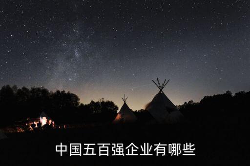 中國五百強企業(yè)有哪些