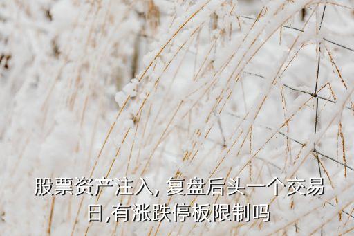  股票資產(chǎn)注入, 復(fù)盤后頭一個(gè)交易日,有漲跌停板限制嗎