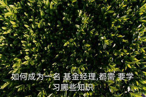 如何成為一名 基金經(jīng)理,都需 要學(xué)習(xí)哪些知識(shí)