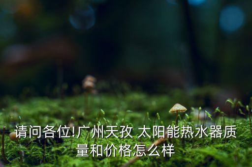 深圳鵬桑普太陽(yáng)能股份有限公司,深圳市鵬桑普太陽(yáng)能股份有限公司