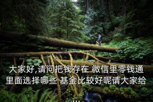 大家好,請(qǐng)問(wèn)把錢(qián)存在 微信里零錢(qián)通里面選擇哪些 基金比較好呢請(qǐng)大家給...
