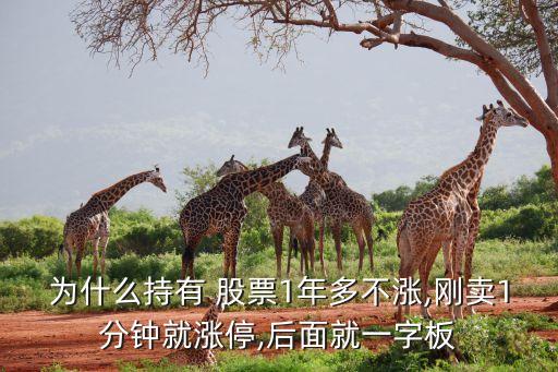 為什么持有 股票1年多不漲,剛賣1分鐘就漲停,后面就一字板