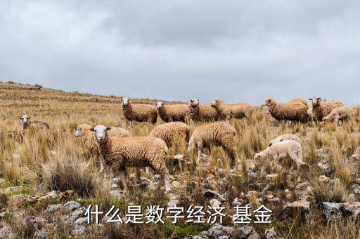 什么是數字經濟 基金