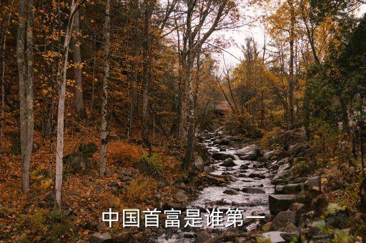 中國(guó)首富是誰(shuí)第一