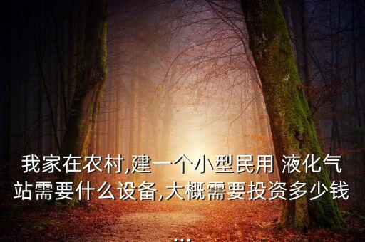 我家在農(nóng)村,建一個(gè)小型民用 液化氣站需要什么設(shè)備,大概需要投資多少錢(qián)...