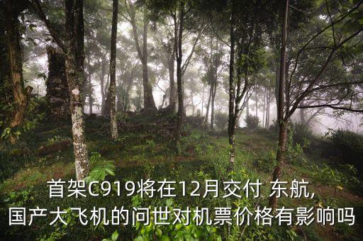 首架C919將在12月交付 東航,國產(chǎn)大飛機的問世對機票價格有影響嗎