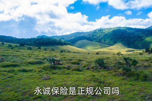 永誠(chéng)保險(xiǎn)的控股集團(tuán)