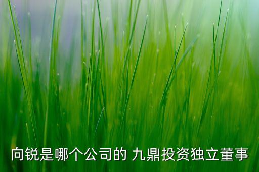 向銳是哪個公司的 九鼎投資獨(dú)立董事