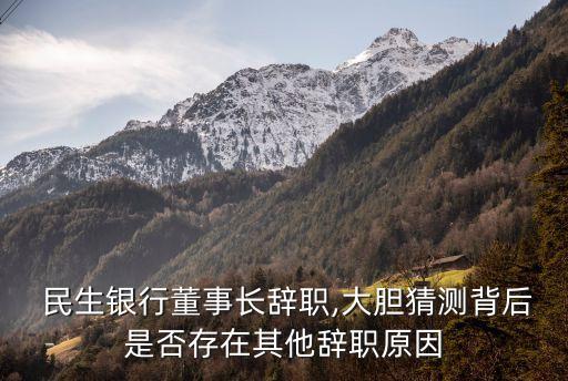  民生銀行董事長辭職,大膽猜測(cè)背后是否存在其他辭職原因