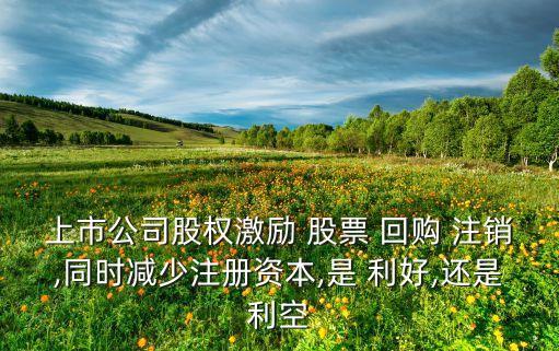 上市公司股權(quán)激勵(lì) 股票 回購(gòu) 注銷(xiāo),同時(shí)減少注冊(cè)資本,是 利好,還是利空