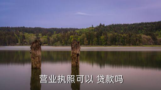 有營(yíng)業(yè)執(zhí)照的貸款公司怎么樣,只有營(yíng)業(yè)執(zhí)照可以貸款嗎