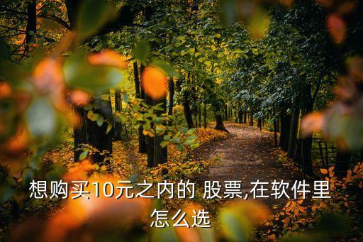 想購(gòu)買10元之內(nèi)的 股票,在軟件里怎么選