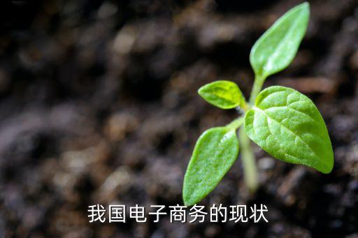 我國電子商務的現(xiàn)狀