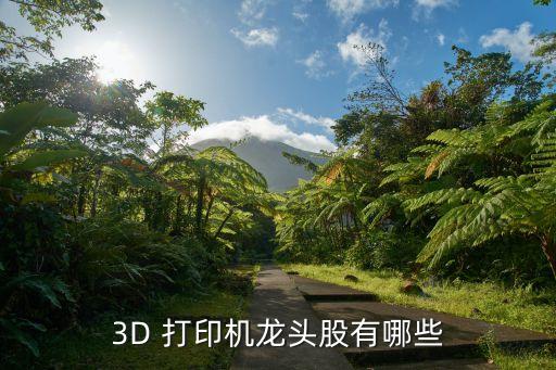 3D 打印機(jī)龍頭股有哪些