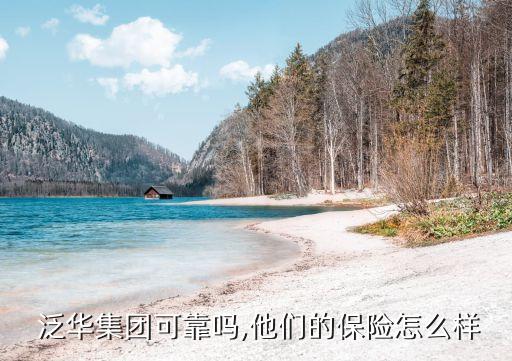  泛華集團可靠嗎,他們的保險怎么樣