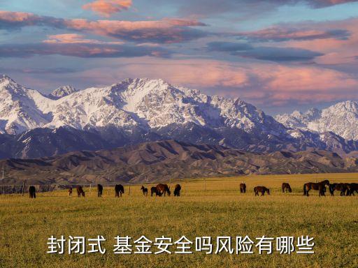  封閉式 基金安全嗎風(fēng)險有哪些