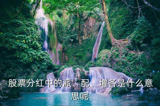  股票分紅中的派、配、增各是什么意思呢