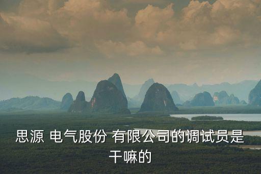 思源 電氣股份 有限公司的調試員是干嘛的