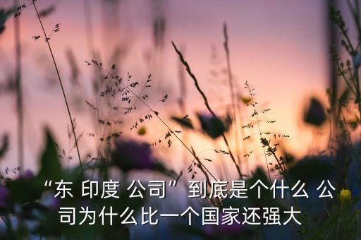 “東 印度 公司”到底是個(gè)什么 公司為什么比一個(gè)國(guó)家還強(qiáng)大