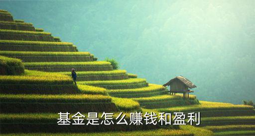基金的收入來(lái)源,基金收入來(lái)源主要包括