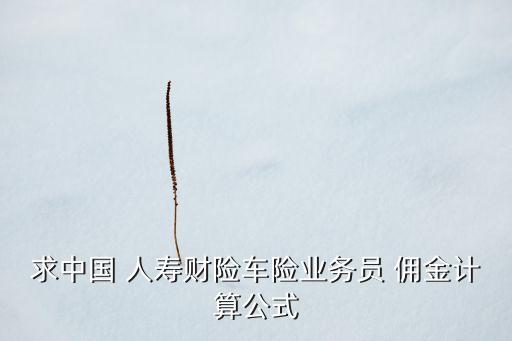 求中國 人壽財險車險業(yè)務員 傭金計算公式