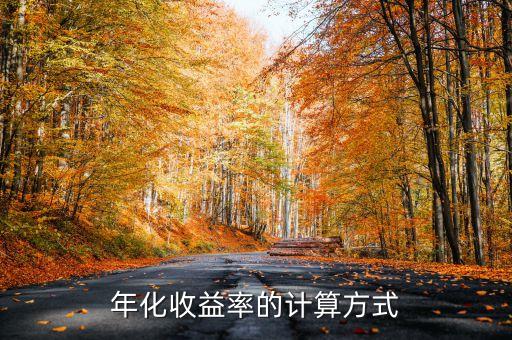 年化收益率的計算方式