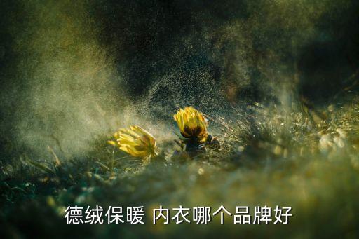 德絨保暖 內衣哪個品牌好
