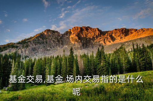 基金交易,基金 場內交易指的是什么呢