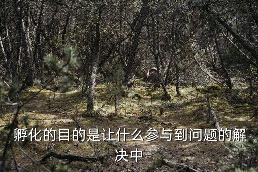  孵化的目的是讓什么參與到問(wèn)題的解決中