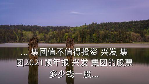 ... 集團值不值得投資 興發(fā) 集團2021預(yù)年報 興發(fā) 集團的股票多少錢一股...