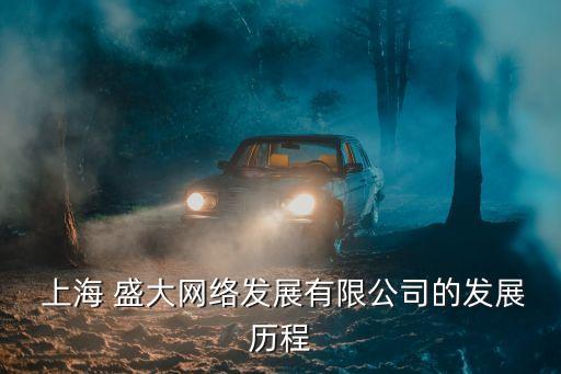  上海 盛大網(wǎng)絡(luò)發(fā)展有限公司的發(fā)展歷程