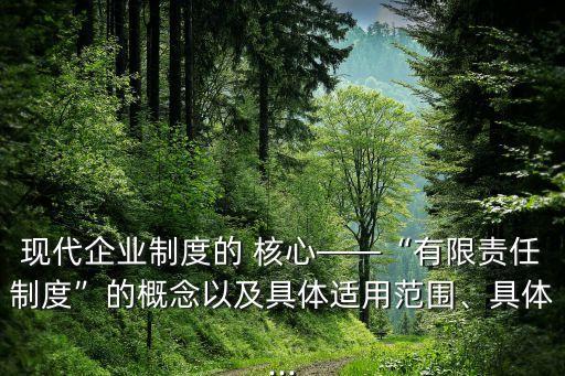 現(xiàn)代企業(yè)制度的 核心——“有限責(zé)任制度”的概念以及具體適用范圍、具體...
