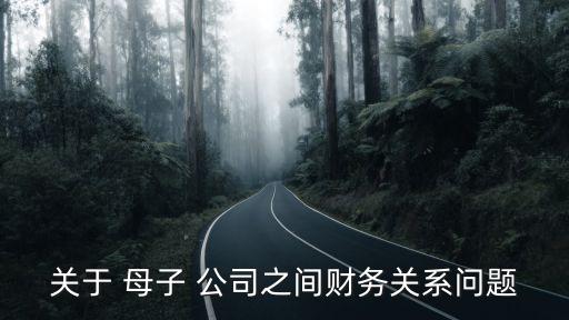 關(guān)于 母子 公司之間財務(wù)關(guān)系問題
