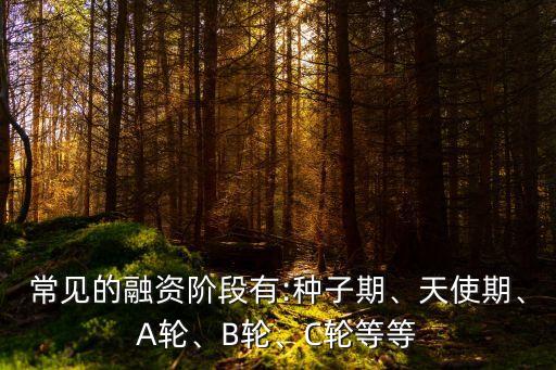 常見(jiàn)的融資階段有:種子期、天使期、A輪、B輪、C輪等等