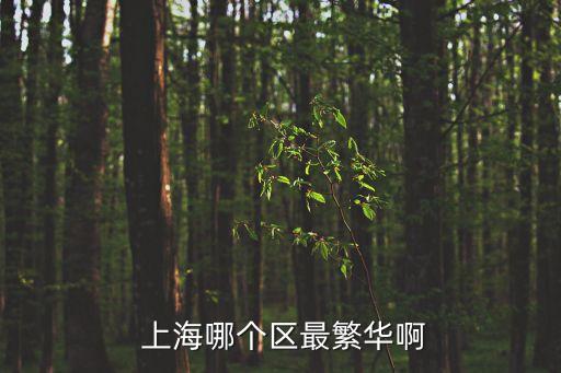  上海哪個(gè)區(qū)最繁華啊