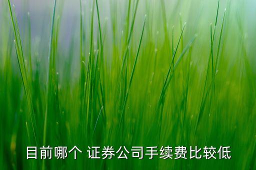 目前哪個 證券公司手續(xù)費比較低