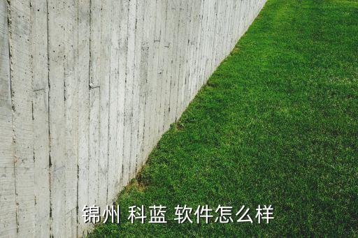 參股北京科藍軟件