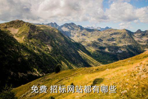 免費 招標(biāo)網(wǎng)站都有哪些