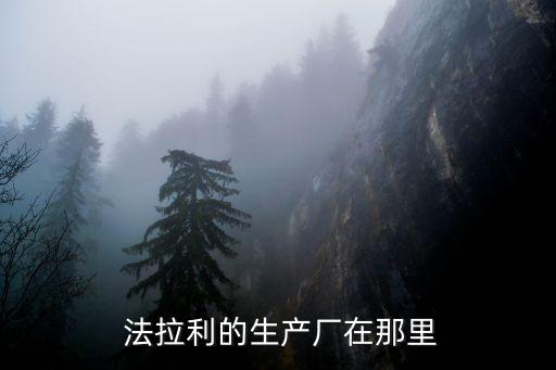  法拉利的生產廠在那里
